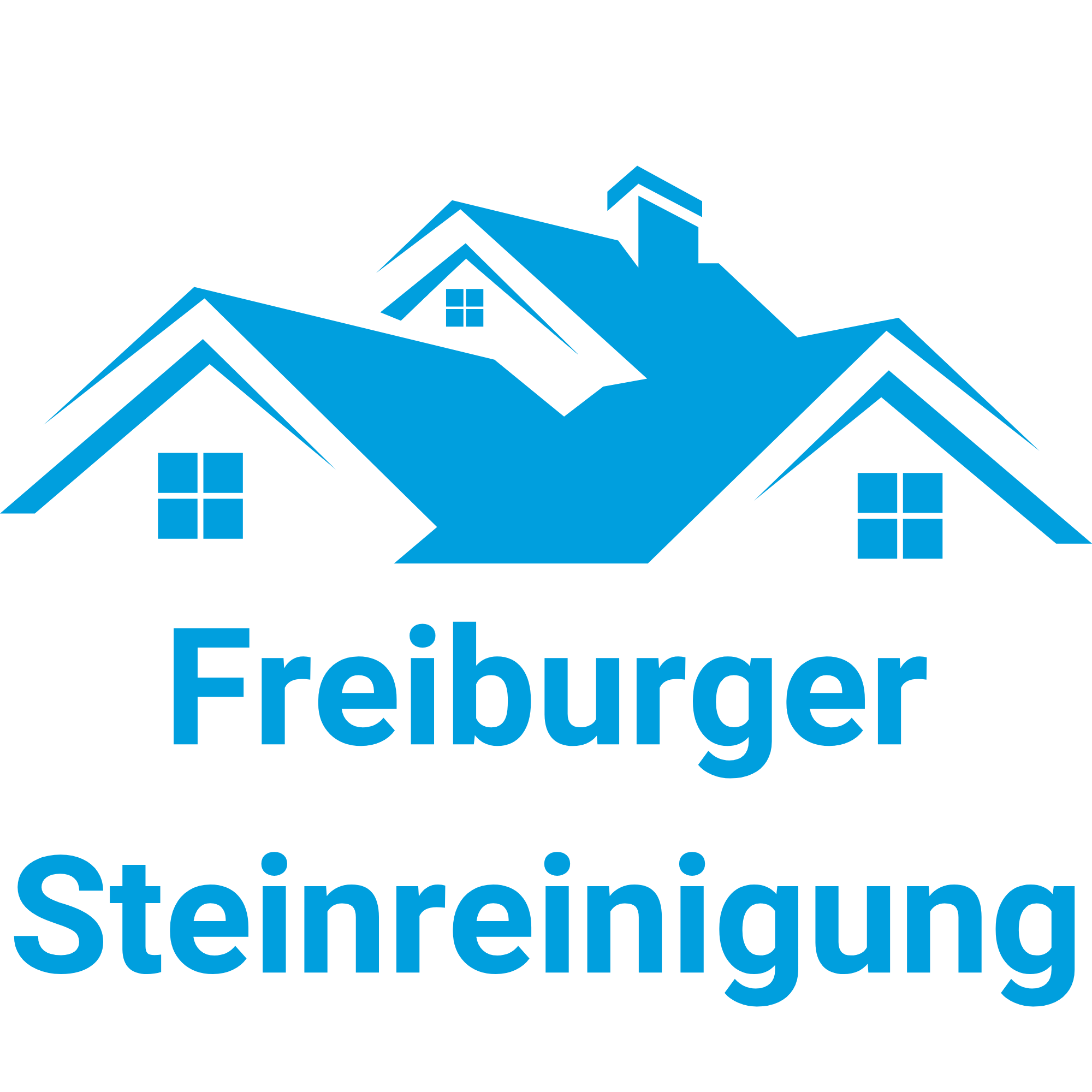 freiburger steinreinigung